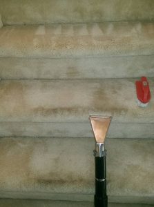 carpeted_steps_cleaning