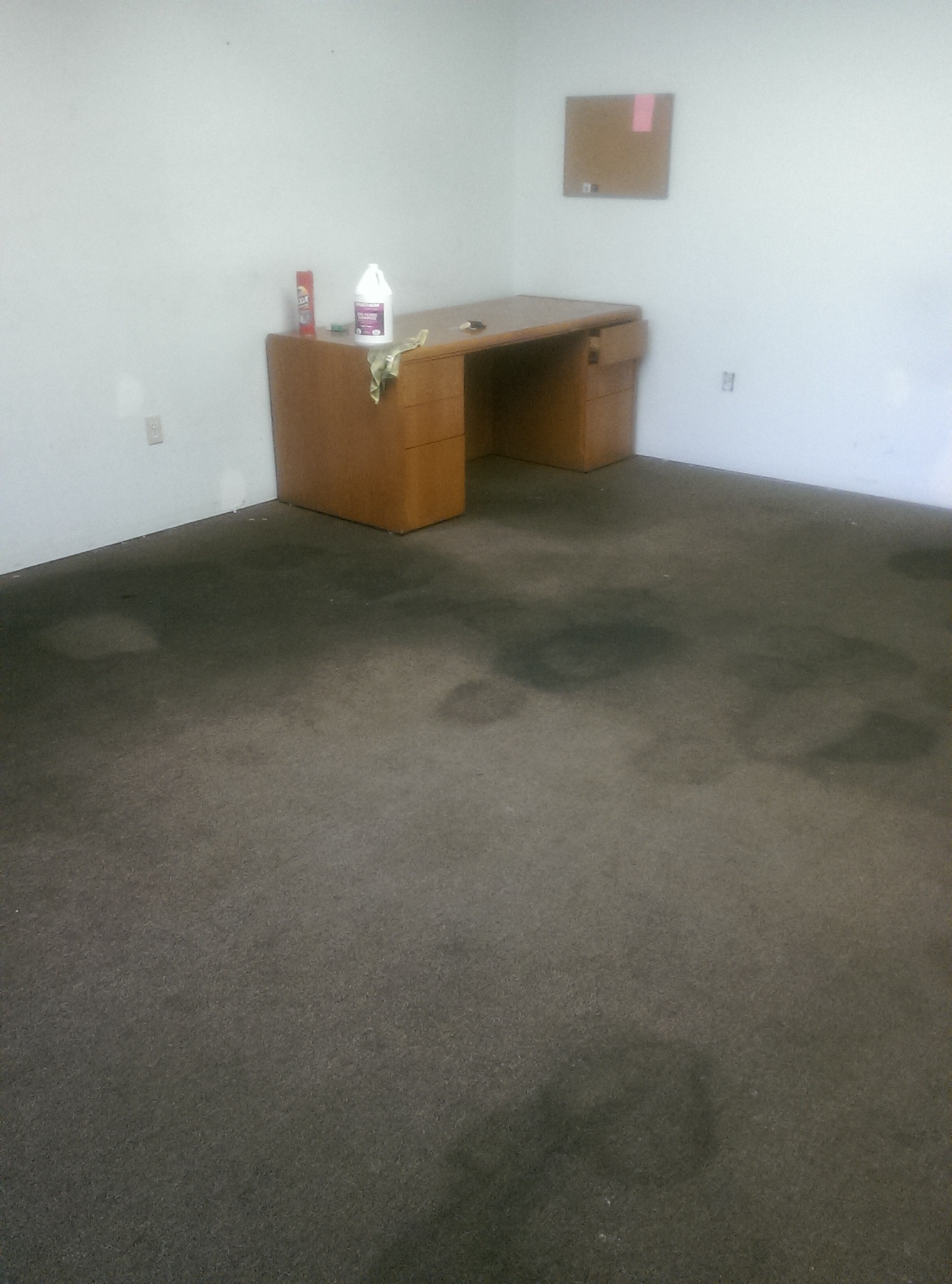 lets check how our carpet cleaning method will work here