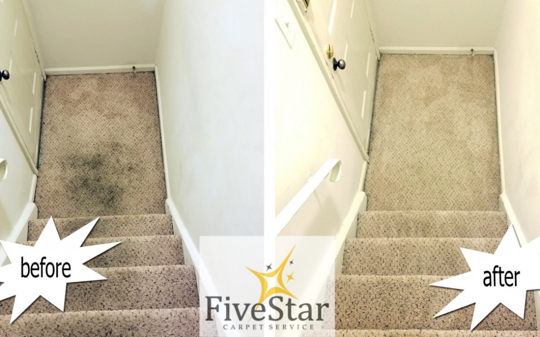 carpeted steps before and after