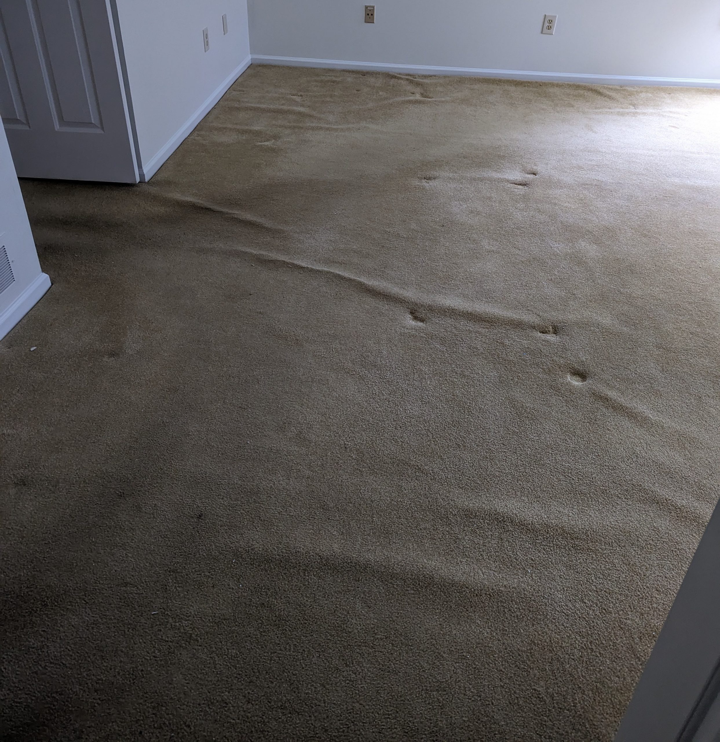 Carpet with wrinkles before stretching