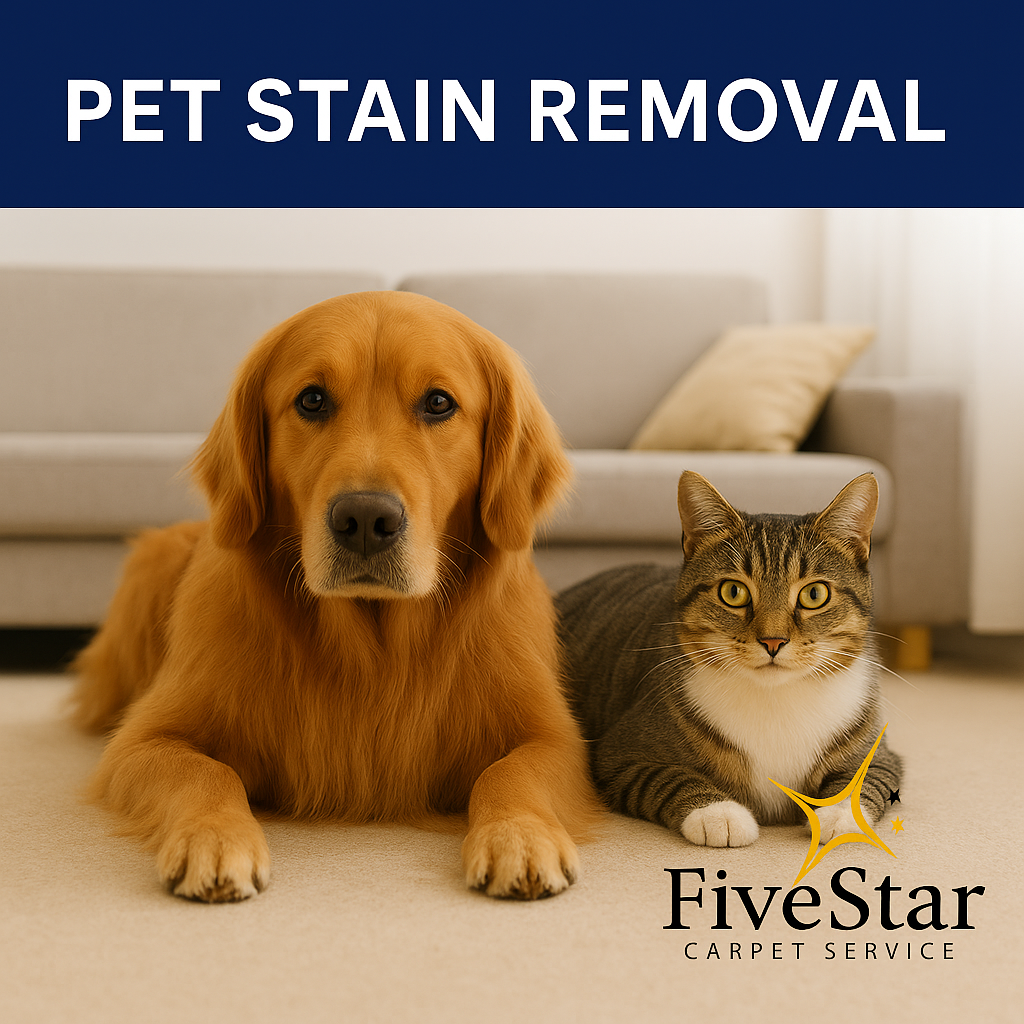 Pet Odor and Stain Removal Golden retriever and tabby cat on clean carpet after pet stain removal, urine stain removal, and pet odor neutralizing service in Philadelphia by Five Star Carpet Service.