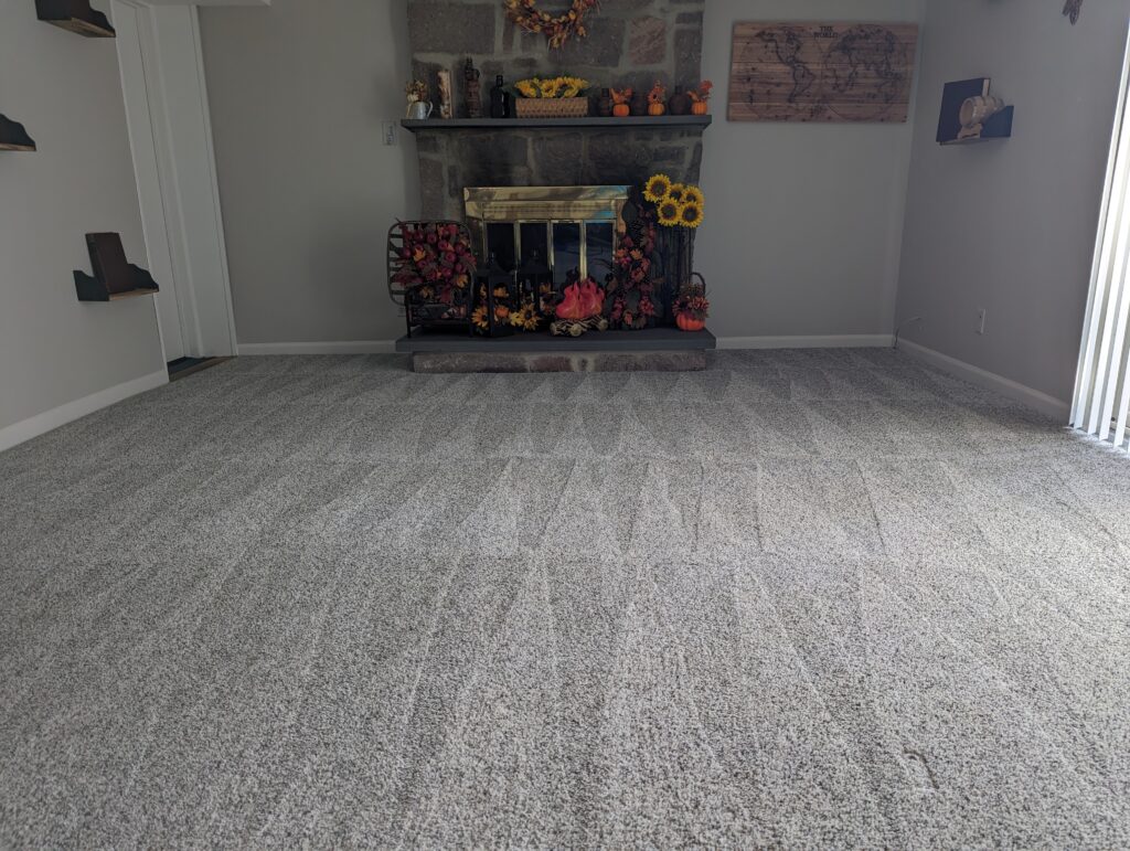 Carpet Cleaning Philadelphia Carpet Cleaning service by Five Star Carpet