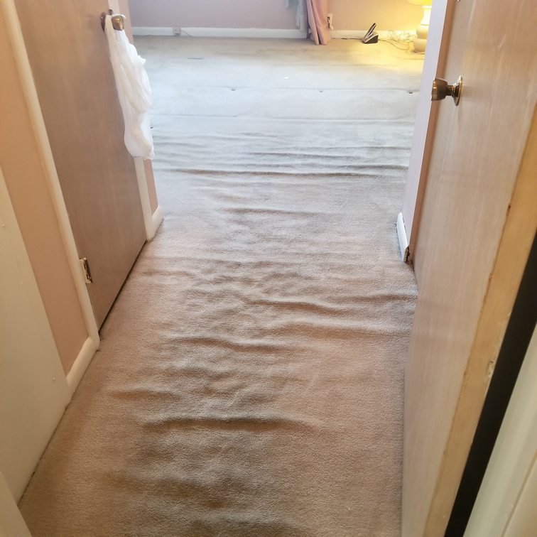 Carpet Stretching and Repair Bumpy carpet in hallway
