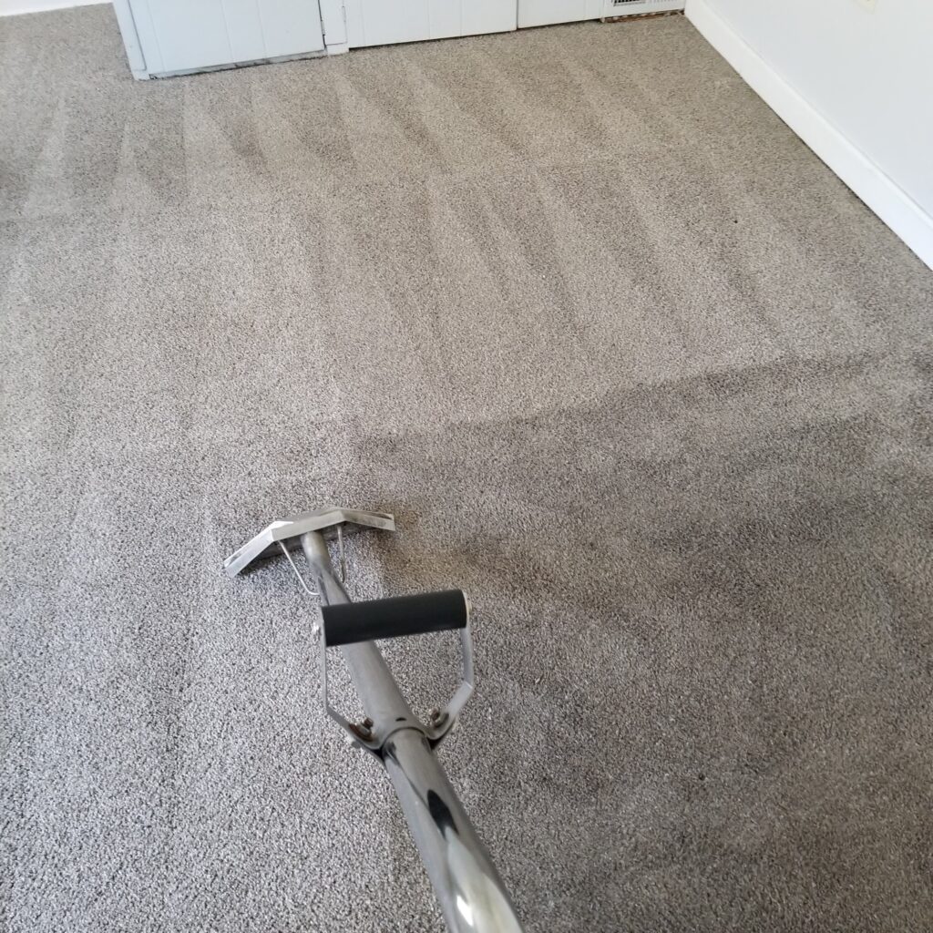 Carpet Cleaning Newtown Best professional carpet cleaning in Bucks co