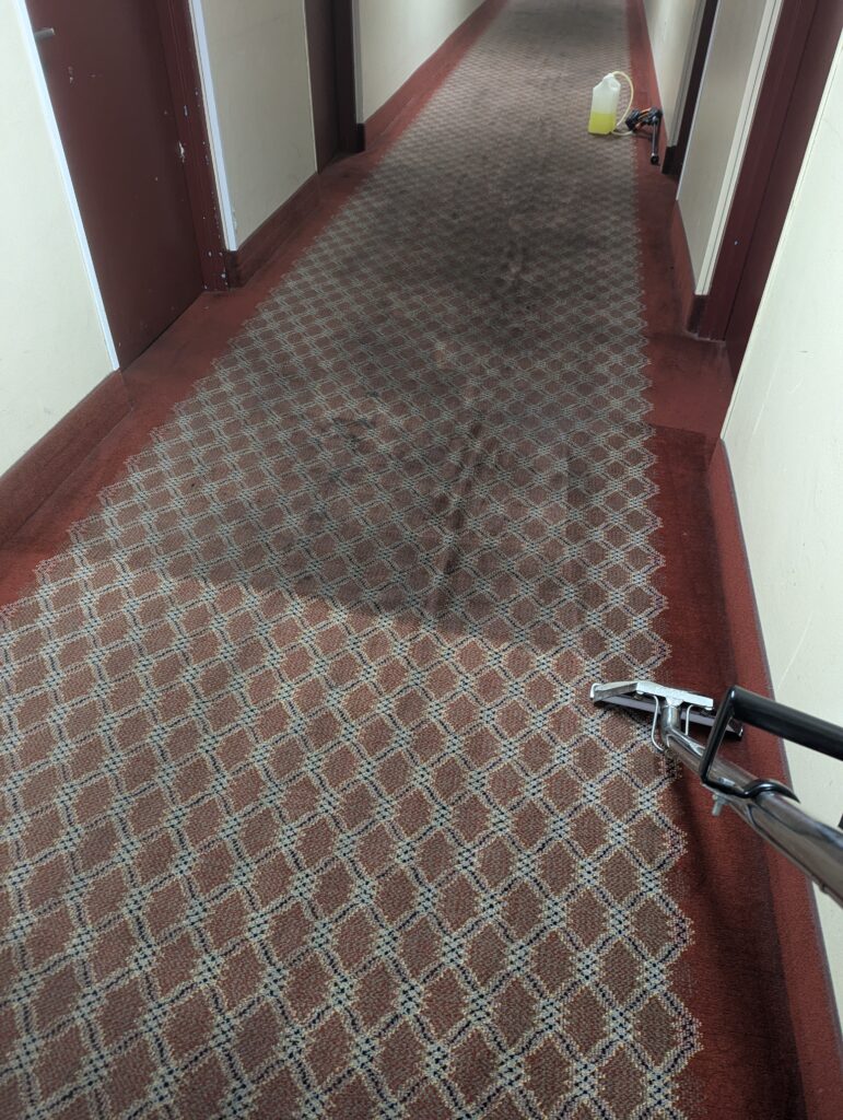 Professional Carpet Cleaning in Willow Grove PA Hotel hallway diring professional carpet cleaning