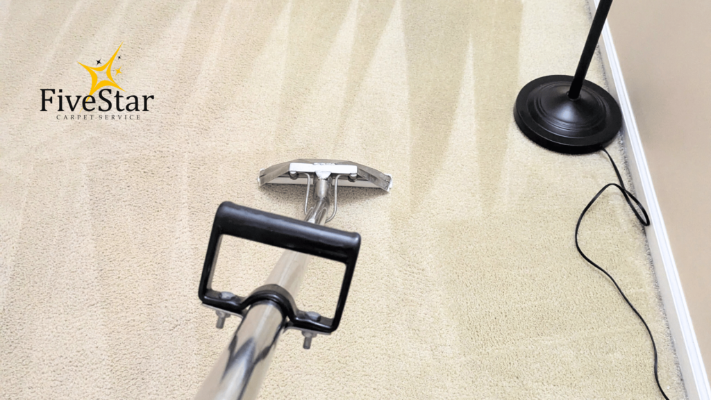 Carpet Cleaning Services in My Area: 5 Things Every Homeowner Should Check Before Booking