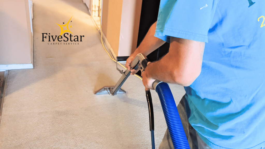 What Does a Carpet Cleaning Specialist Actually Do? Inside a Pro-Level Cleaning & Repair Service